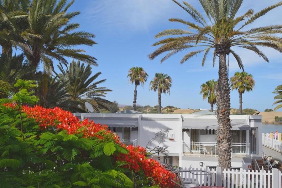 Apartamentos Dunaoasis Maspalomas Buitenkant foto